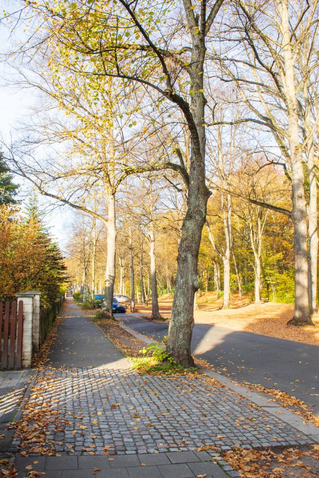 Stadtnatur Apartment Am Kuechwald - Mit Balkon, Streaming-Tv, Badewanne, Arbeitsplatz Хемниц Экстерьер фото